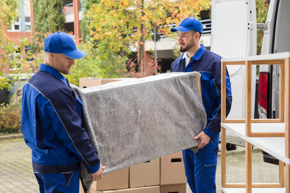 Packing And Moving Services