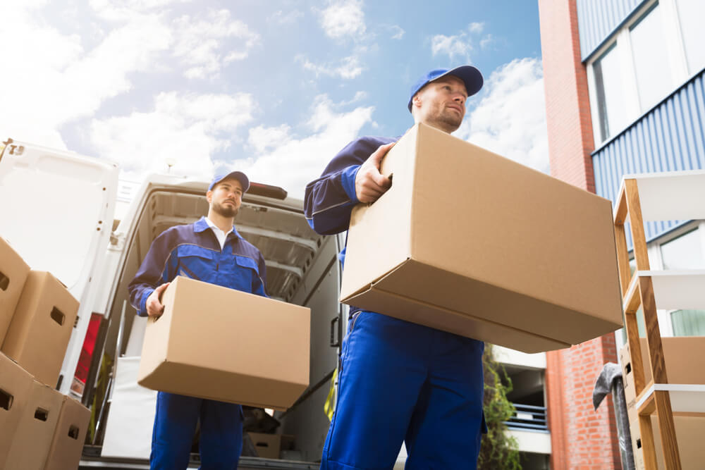 Professional Movers Norwalk