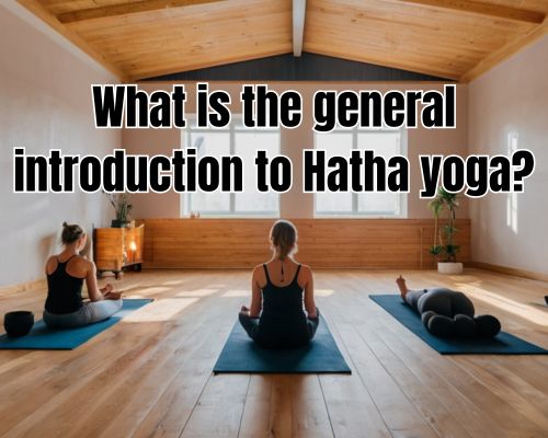 women doing yoga facing the window in a broad daylight